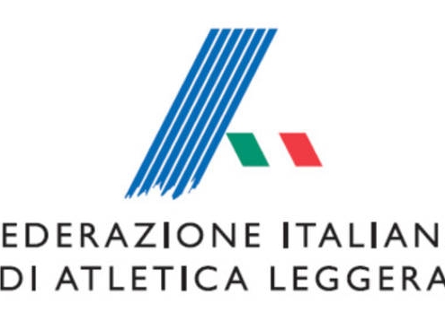 fidal logo